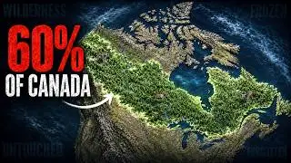 Canada’s Largest Wilderness Nobody Talks About | The Boreal Forest