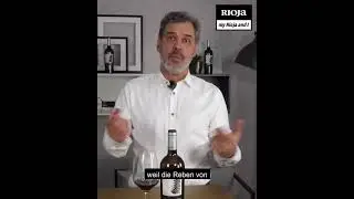 Rebberge, umgeben von einem Tannenwald, wie schmecken diese Rioja Weine wohl?| Picea 650