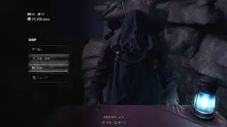 バイオハザードRE4 縛りあり アシュリーに興奮するレオンの物語 縛り内容は説明欄にあります