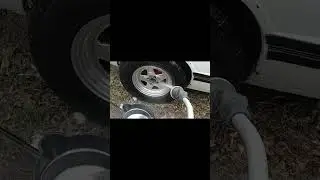 Washing Fox Body Pro Star Wheel