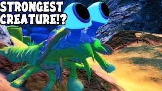FEED AND GROW | UNLOCKING THE MANTIS SHRIMP