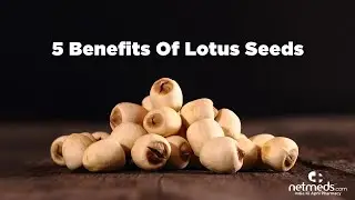 Top 5 Reasons To Add Lotus Seeds To Your Diet