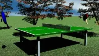 sport anim