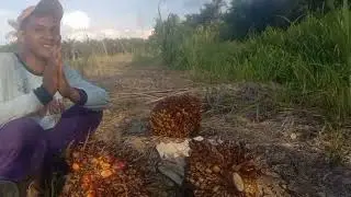 Selama 6 bulan merintis akhirnya bisa kita tanami juga‼️