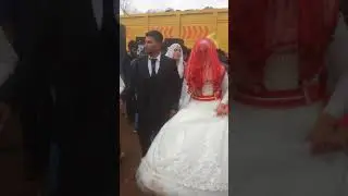 Mıla düğünleri