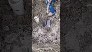 digging to replace the main sewer line