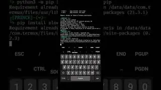 Slowloris IN TERMUX