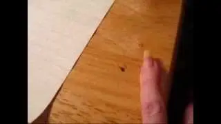 Pseudo scorpion