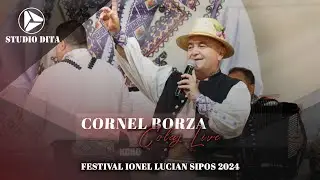 Cornel Borza - Festival Ionel Lucian Sipos 2024🎵
