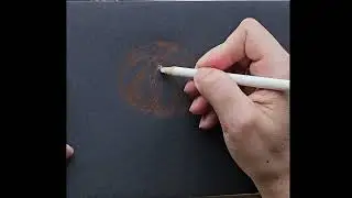 Mandarin, fruit pencil drawing, learning to draw, Master class.#easy #art