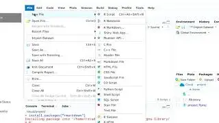 Lesson 24   Using R Markdown in RStudio