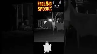 Caught on Camera🙄🥶😱😨#manananggal #HorrorPH #fypシ゚viralシfyp #highlightseveryonefollowers2025 #horror