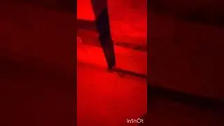 Всё живы