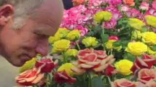 A History of AIPH Approved Horticultural Expos