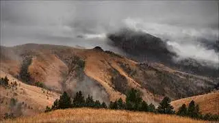 2 Hours of Relaxing Rain | Stress Relief, Sleep & Study