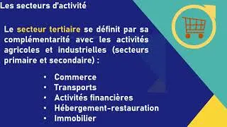 Les secteurs d'activités et les branches professionnelles