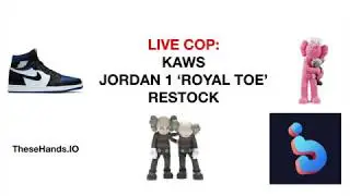 BOT LIVE COP: KAWS FIGURES / JORDAN 1 'ROYAL TOE' RESTOCK