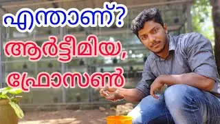 Frozen Artemia Malayalam