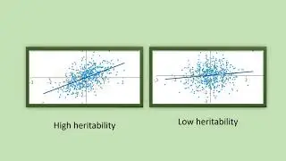 Quantitative genetics 5 - Estimating narrow sense heritability