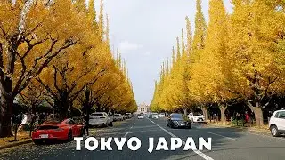 Jingu Gaien Ginkgo Avenue 4K Tokyo Japan - Driving from Nihonbashi Kabutocho to Meiji-Jingu