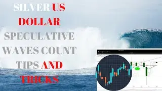 SILVER US DOLLAR SPECULATIVE WAVES COUNT TIPS AND TRICKS