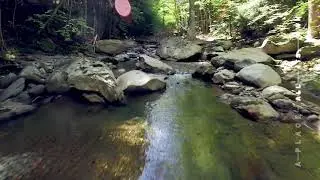 Vermont Vacation: Scenic Beauty