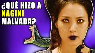 La VERDADERA Raz&oacute;n Por La Que Nagini Se Hizo MALA &ndash; Teor&iacute;a de Harry Potter