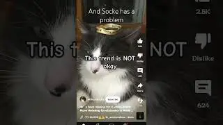 . #stopthistrend #thisisnotokay