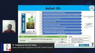 Crop health and productivity enhancement - 