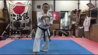 士道館　大久保義家師範　型　クルルンファ