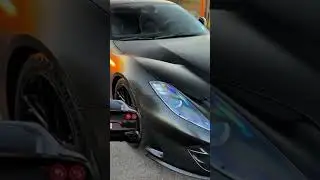 #vishalchaudhari #ferrari #horse
