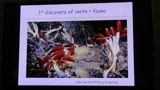 Explorig the deep discovering new seafloor hydrothermal vent fields