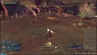 My next MMO if i ever quit Eden Eternal