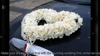 Toronto Wedding Limo