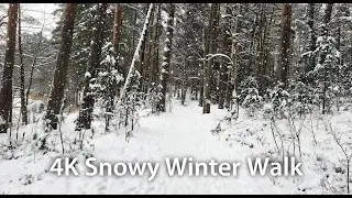 4K Snowy Walk Around Frozen Lake | Crunching Footsteps & Winter Ambience | No Talking 30 Min