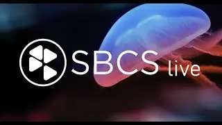 SBCS live