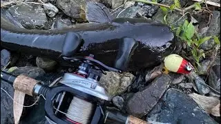 ナマズ釣り界隈でパニポップでナマズ釣りするパニ活が流行ってるらしい