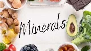 The Mineral matrix || Lets Understand the Minerals @PrimeLeaders-gi9ou