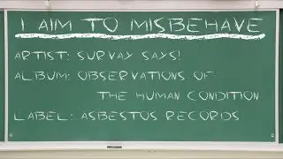 Survay Says! - I Aim To Misbehave OFFICIAL VIDEO