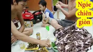 NG&Oacute;E chi&ecirc;n gi&ograve;n [ Được m&ugrave;a thu hoạch NG&Oacute;E sau cơn b&atilde;o lớn]