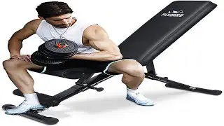 Bench-FLYBIRD