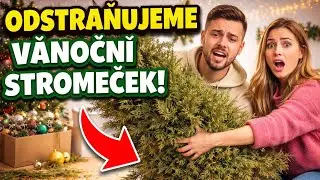 Odstraňujeme vánoční stromeček! Hodili jsme ho z okna?