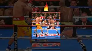 👑 Floyd Mayweather: The UNTOUCHABLE Boxing GOAT! 🥊💎