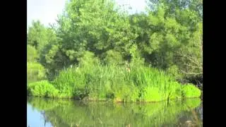Плавучий остров BioHaven