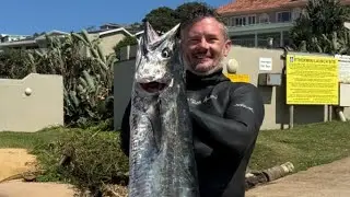 Bear KZN sea report Couta and Warm water