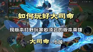 【大司命&middot;小国上榜】你必须要会玩的打野英雄【王者荣耀浩克】