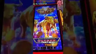 Casino Adventure: Finding the Elusive Bull Blitz Game #shorts