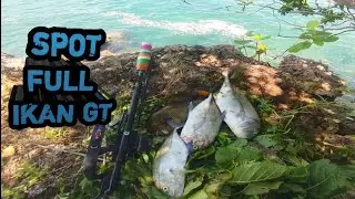 MASER IKAN DI LAUT||GILAAAA beginilah tarikan ikan GT..BEGITU MENGERIKAN😱