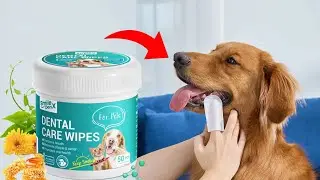 Dog Dental Care Wipes
