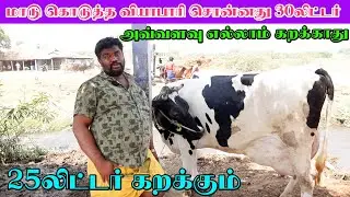 high-milk yielding cow sale low cost | கொடுத்தவர் 30 லிட்டர் கறவை சொன்னாரு கறக்காது | 25 கேரண்டி.